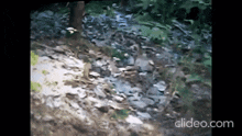 Thomas Great Discovery GIF - Thomas Great Discovery M GIFs