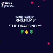 Dragonfly By Rnsfilms GIF - Dragonfly By Rnsfilms GIFs