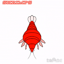 Shrimp Shrimp Worship GIF - Shrimp Shrimp Worship GIFs