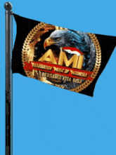 a flag that says ami on it with an eagle