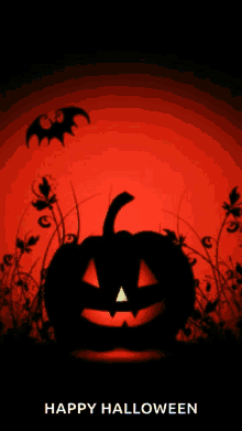 Halloween Pumpkin GIF - Halloween Pumpkin Bat GIFs