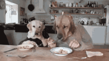 Two Dogs Dining GIF - Dogs Animals Dining GIFs