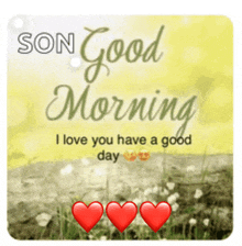 son good morning i love you have a good day with three hearts