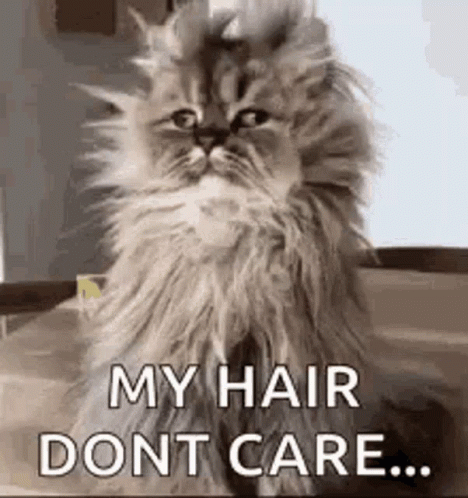 Bad Hair Day My Hair Dont Care GIF - Bad Hair Day My Hair Dont Care I Dont Care - Discover & Share GIFs Bad Hair Day My Hair Dont Care GIF - Bad Hair Day My Hair Dont Care I Dont Care - Discover & Share GIFs