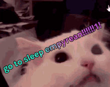 Empyrean Cat Sleep GIF - Empyrean Cat Sleep GIFs