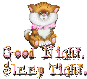 Good Night Kitty Sticker - Good Night Kitty Sleep Tight Stickers
