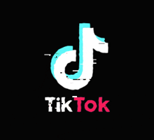 Tiktok Logo Logo GIF