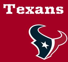 Houston Texans Texans GIF
