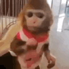 a person is holding a small monkey in their arms in a cage .