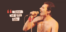 Freddy Mercury Love Of My Life GIF - Freddy Mercury Love Of My Life Love GIFs