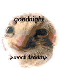 Shordhe Shordhe Goodnight Sticker - Shordhe Shordhe Goodnight Goodnight Stickers