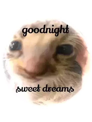 Shordhe Shordhe Goodnight Sticker - Shordhe Shordhe Goodnight Goodnight Stickers
