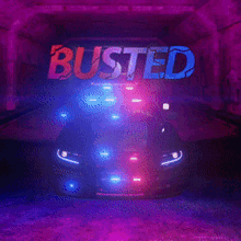 Myth Busted Busted GIF - Myth Busted Busted Police Busted GIFs