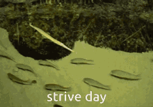 Strive Day Ggst GIF - Strive Day Ggst Guilty Gear GIFs
