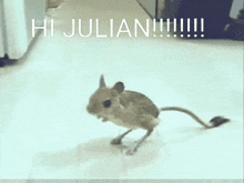 Hi Julian GIF - Hi Julian Hi Julian GIFs