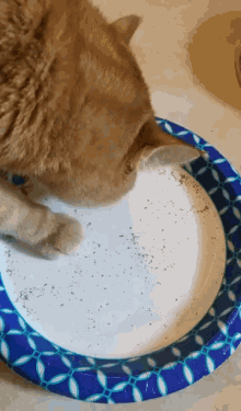 Cat Food GIF - Cat Food GIFs