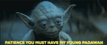 Yoda Patience GIF - Yoda Patience You Must Have Patience GIFs