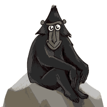 black macaque