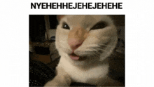 Nyehehehe Cat GIF - Nyehehehe Cat GIFs