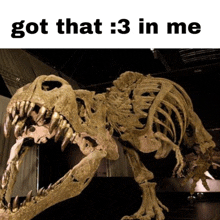 a skeleton of a dinosaur with the words got that 3 in me below it