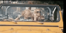 Britney Driving GIF - Britney Driving Iggy GIFs