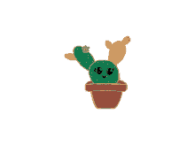 cactus cuti