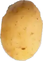 a close up of a potato with small brown spots on it