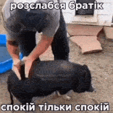a man is kneeling down next to a pig with a caption in foreign language