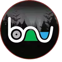 a logo for a company called bnv shows a forest in the background