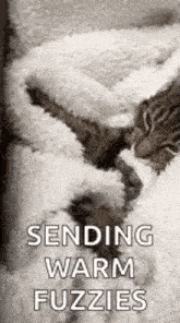 Cocooning Snuggle GIF