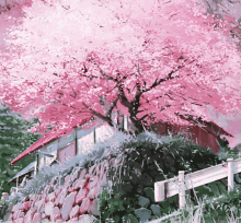 Sakura GIF - Sakura GIFs