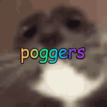Emo Poggers GIF - Emo Poggers Emo Poggers Moment GIFs