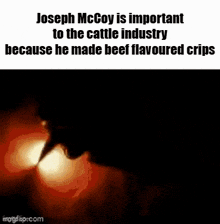 joseph mccoy is important to the cattle industry because he made beef flavoured crisps