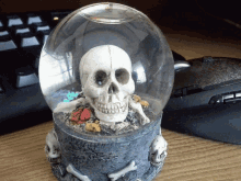 Skull Waterglobe GIF - Skull Waterglobe Desk GIFs