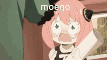 Moego GIF - Moego GIFs