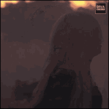 a woman stands in front of a sunset with the diva diesel logo