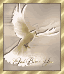Thinking Of You Bird GIF - Thinking Of You Bird God Bless GIFs