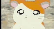 a close up of a hamster 's face with a surprised look on its face .