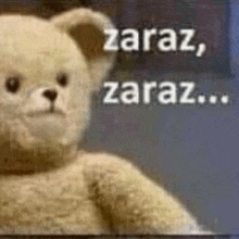a teddy bear is sitting in front of a sign that says zaraz , zaraz .