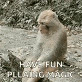 a monkey is sitting on a rock and saying `` have fun , pllaing magic '' .