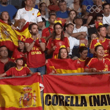Cheering Olympics GIF - Cheering Olympics Spain Represent GIFs