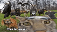 Pessimistically Optimistic When The Jigs Up GIF - Pessimistically Optimistic When The Jigs Up Clan Defeated GIFs