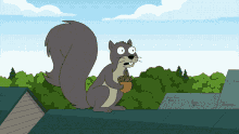 Family Guy Squirrel GIF - Family Guy Squirrel Pervert Squirrel GIFs
