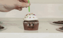 Cupcake Candle GIF - Cupcake Candle Wow GIFs