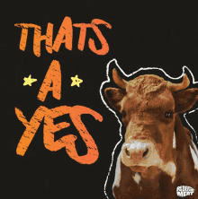 Yes Thats A Yes GIF - Yes Thats A Yes Redefine Meat GIFs