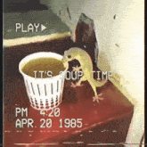 Its Soup Time Lizard GIF