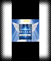 a picture of an angel with the name solyan at the top