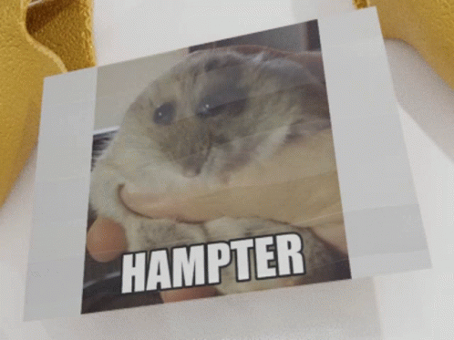 Hampter meme on Make a GIF