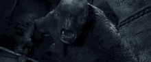 Cave Troll Lotr GIF - Cave Troll Lotr Lord Of The Rings GIFs