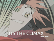 a picture of a girl with the words " its the climax " on the bottom